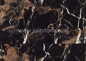 Black Gold Marble