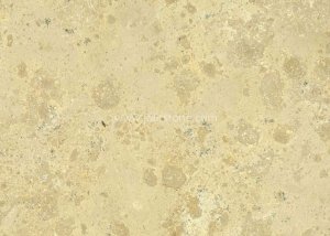 China Beige Limestone Honed