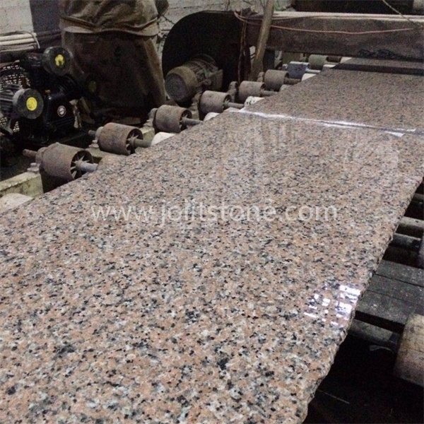 G002 Rosa Pink Porrino Granite 60 70 80 90 cm Slab