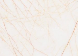 Golden Spider Marble