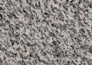 Tiger Skin White Granite